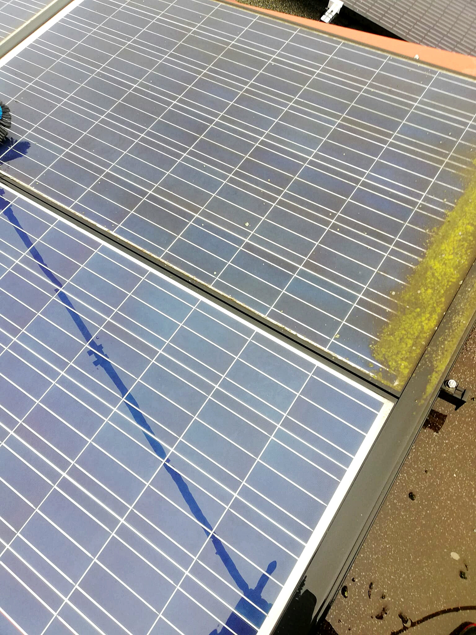 Photovoltaikanlagen auf Hausdächern reinigen